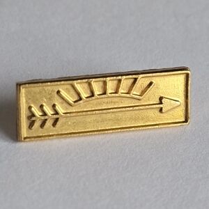 Boy Scouts of America (BSA) Cub Scout Arrow of Light lapel pin brooch